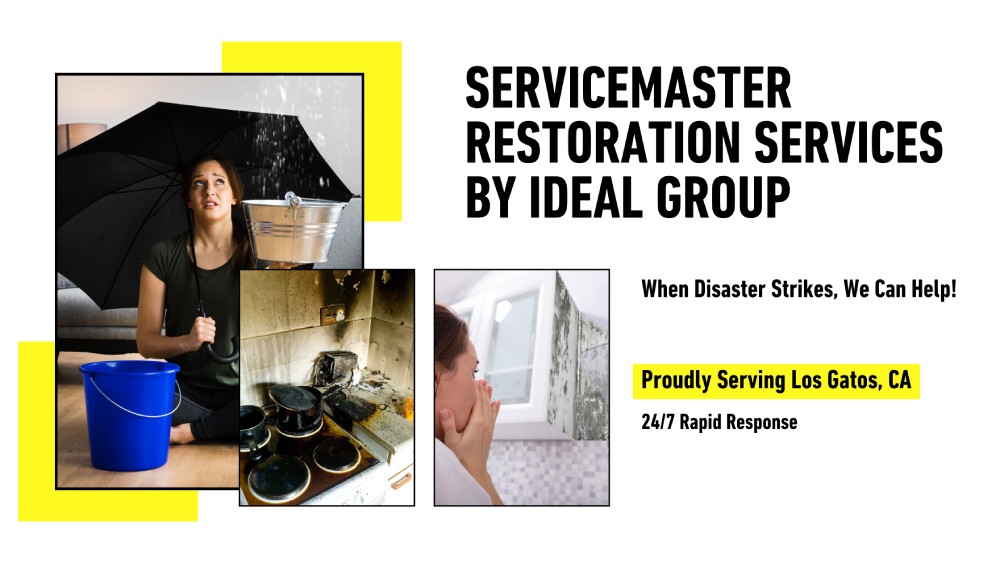 Los Gatos' Leading Choice for Disaster Restoration Services